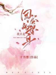 我只是团宠的替身